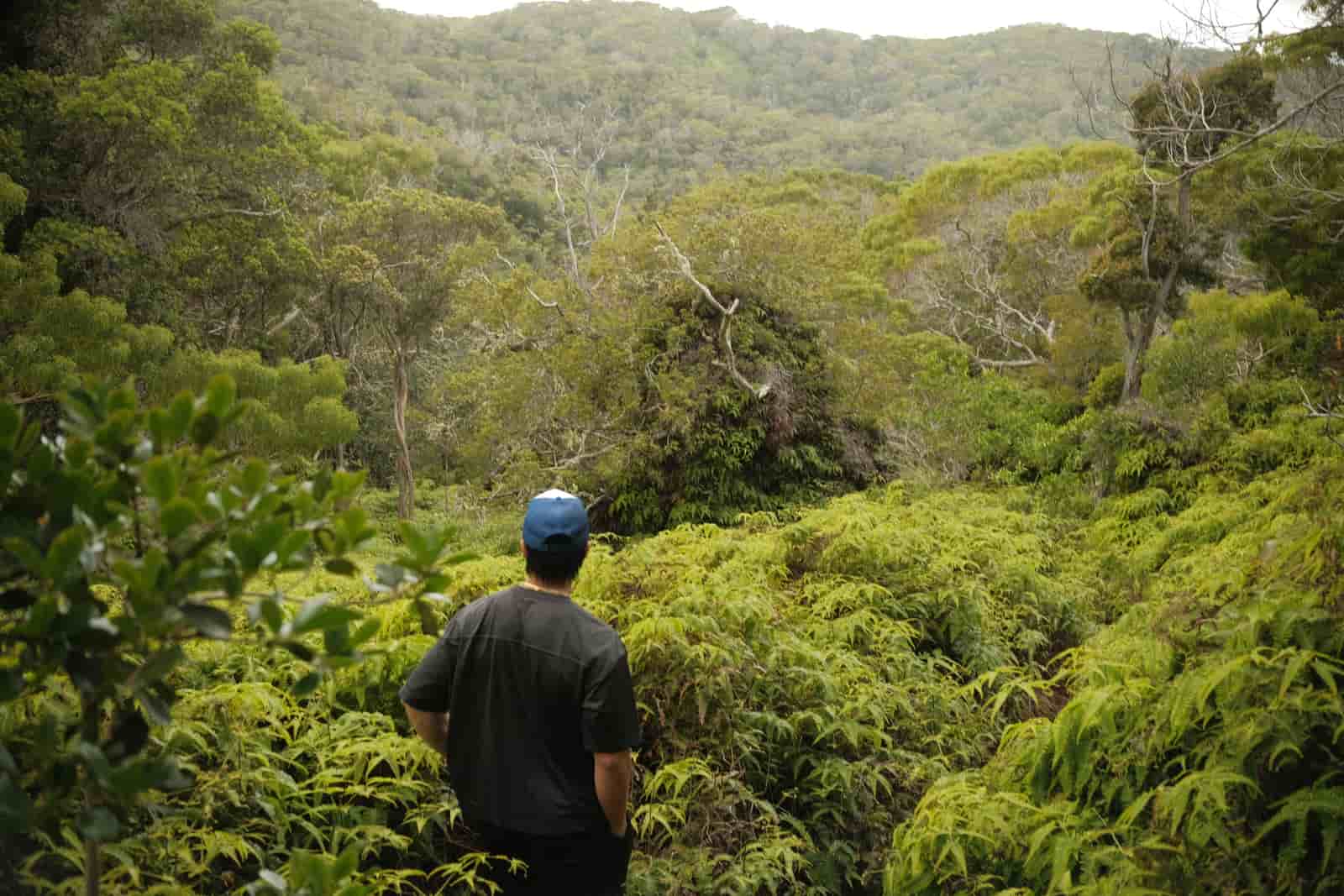 Looking out over the wilderness - @realchrus
